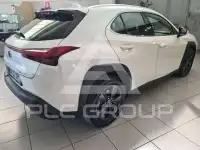 2024 Lexus UX250