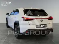2024 Lexus UX250