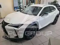 2024 Lexus UX250