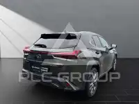 2024 Lexus UX250