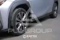 2024 Lexus UX250