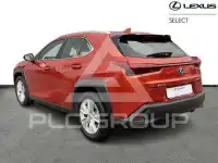 2024 Lexus UX250
