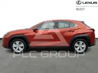 2024 Lexus UX250