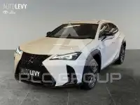 2024 Lexus UX250