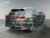 2024 Lexus UX250