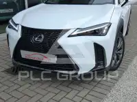 2024 Lexus UX250