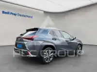 2024 Lexus UX250