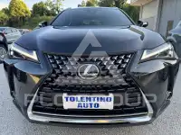 2024 Lexus UX250