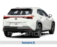 2024 Lexus UX250