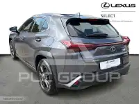 2024 Lexus UX250
