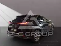 2024 Lexus UX250