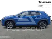 2024 Lexus UX250