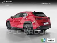 2024 Lexus UX250