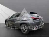 2024 Lexus UX250