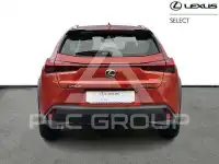 2024 Lexus UX250