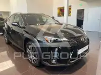 2024 Lexus UX250