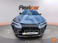 2024 Lexus UX250