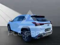 2024 Lexus UX250