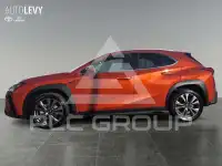2024 Lexus UX250