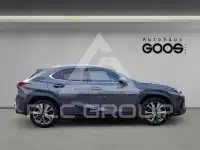 2024 Lexus UX250