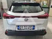 2024 Lexus UX250