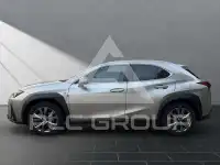 2024 Lexus UX250