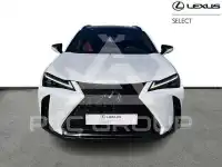 2024 Lexus UX250