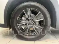 2024 Lexus UX250