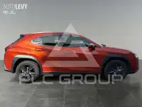 2024 Lexus UX250
