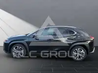 2024 Lexus UX250