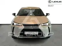 2024 Lexus UX250
