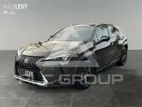 2024 Lexus UX250