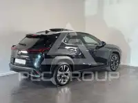2024 Lexus UX250