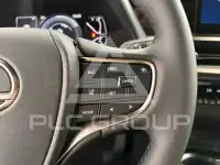 2024 Lexus UX250