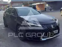 2024 Lexus UX250