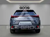 2024 Lexus UX250