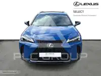 2024 Lexus UX250