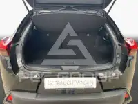 2024 Lexus UX250