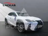 2024 Lexus UX250