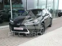 2024 Lexus UX250