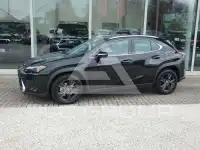 2024 Lexus UX250
