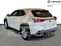 2024 Lexus UX250