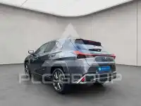 2024 Lexus UX250