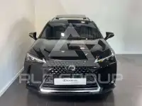 2024 Lexus UX250
