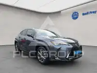 2024 Lexus UX250