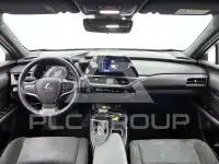 2024 Lexus UX250