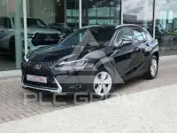 2024 Lexus UX250