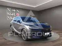 2024 Lexus RX450