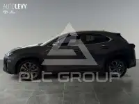 2024 Lexus Other
