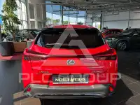 2024 Lexus Other